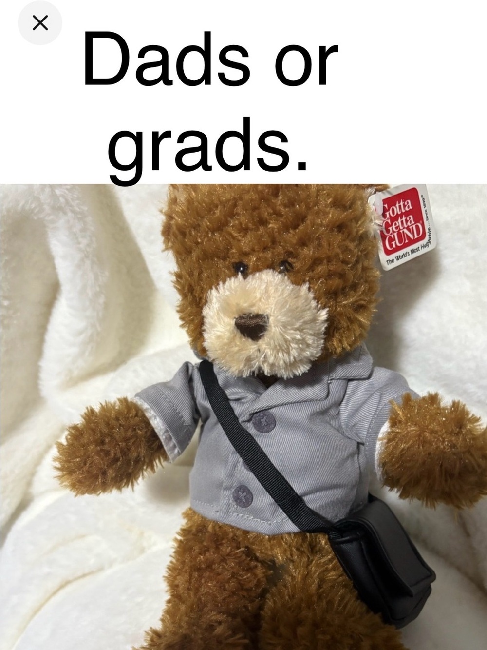 Brown Office /  Teddy Bear with Gray Jacket and Black Bag briefcase/bag NEW